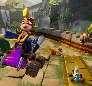 Crash Team Racing