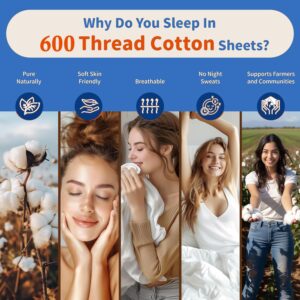 Mattress-Homes 600 Thread Count 100% Long Staple Soft Cotton, 4 Piece Sheets Set, RV Short Queen Size,Smooth & Soft Sateen Weave, Luxury Hotel Collection Bedding, Taupe Solid