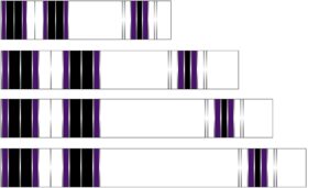 white water archery non-laminated purple traditional 9 crest arrow wraps 15 pk choose length width (9, 1.25)