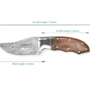 Perkin Hunting knife with sheath Damascus steel Skinner Knife full tang H14