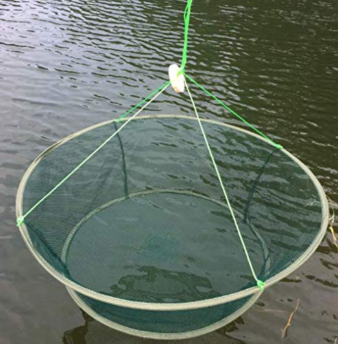 LikeFish Foldable Fishing Net Hand Casting Cage Crab Net for Minnows, Crab, Lobsters, Fishes (Small-Dia 31.5"/23.6")