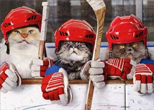 hockey cats - avanti funny / humorous birthday card