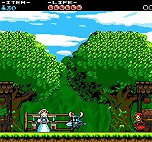 Shovel Knight: Treasure Trove (Nintendo Switch)