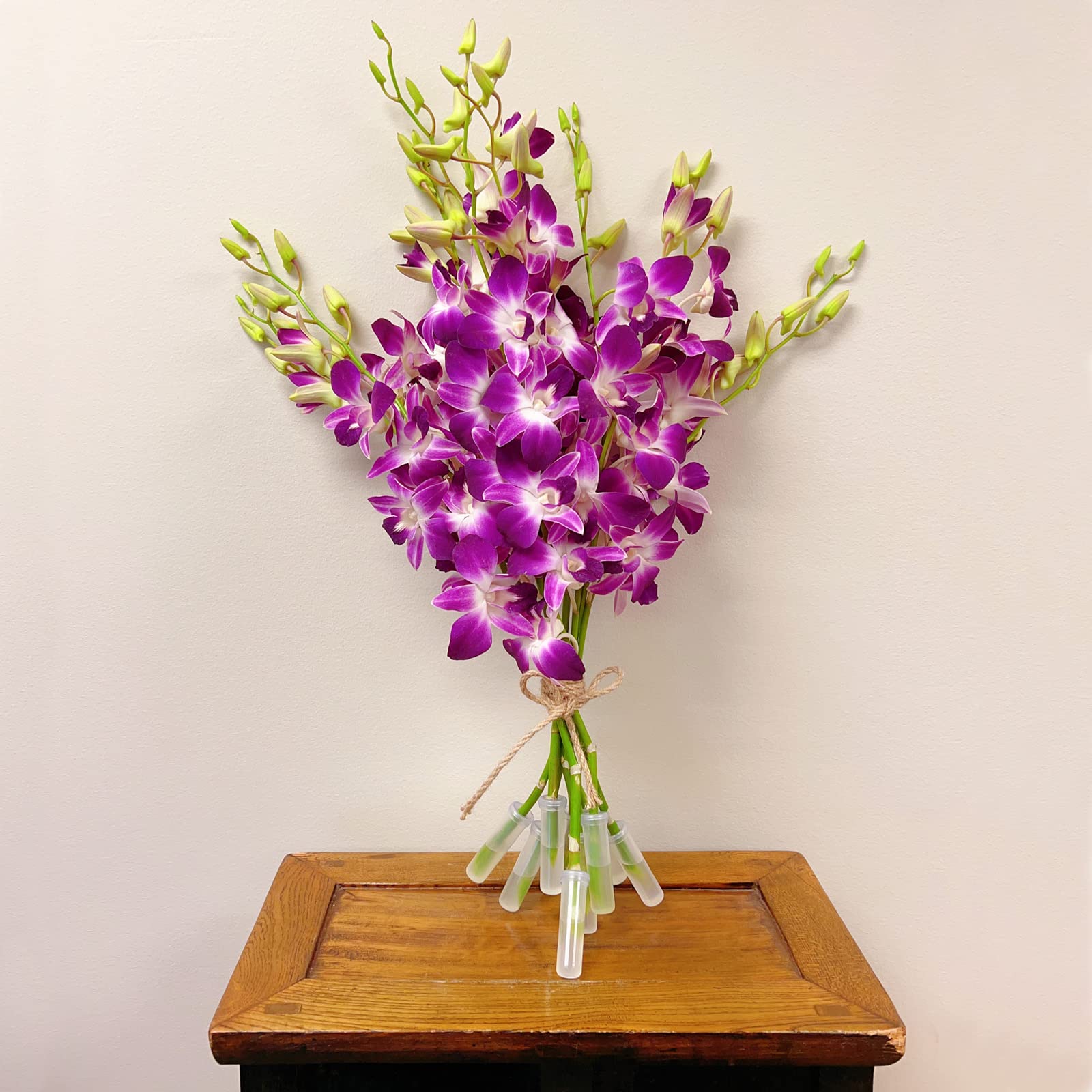 Athena’s Garden Fresh Cut Orchids Purple 10 Stems Sonia Dendrobium Orchids Flowers with Vase and Rocks