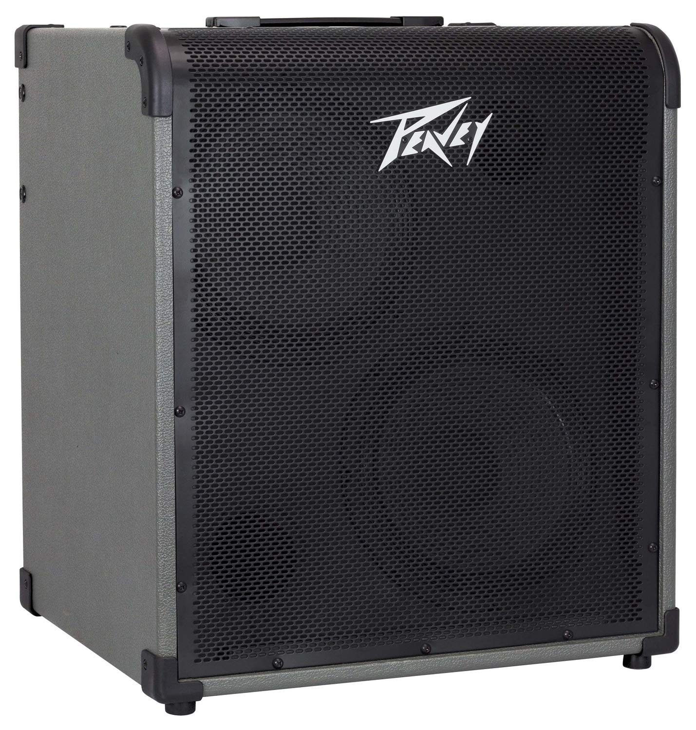 Peavey MAX 300 300-Watt Bass Amp Combo