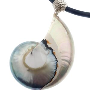 Swimmi Rare Natural Open Nautilus Shell Necklace, Hand Polished Pearly Nautilus Necklace for Women, Adjustable Cord Nautilus Mother of Pearl Necklace, Ursula Necklace Jewelry AA419-CR