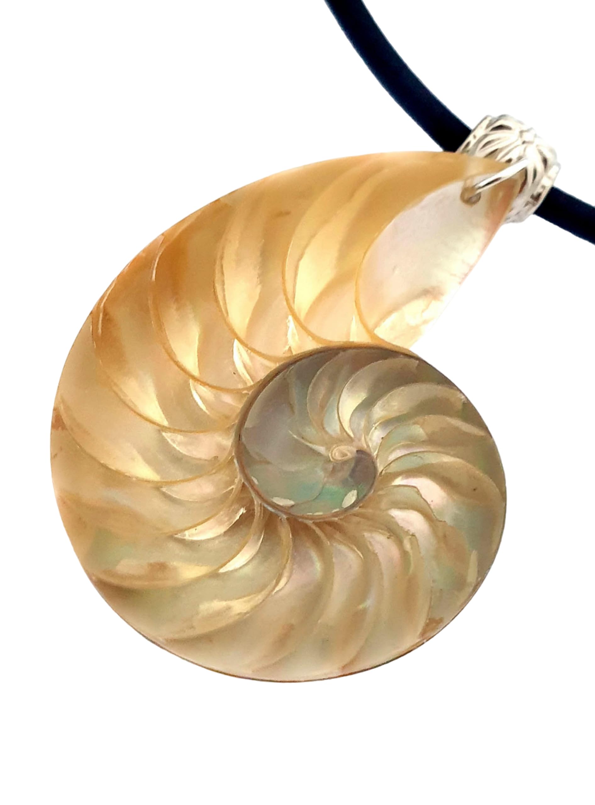 Swimmi Rare Natural Open Nautilus Shell Necklace, Hand Polished Pearly Nautilus Necklace for Women, Adjustable Cord Nautilus Mother of Pearl Necklace, Ursula Necklace Jewelry AA419-CR