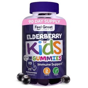 Feel Great Kids Elderberry Gummies with Zinc and Vitamin C | Kids Immune Support Sambucus Elderberry Gummies | Berry Flavored Vegan Kids Multivitamins | 90 Day Supply