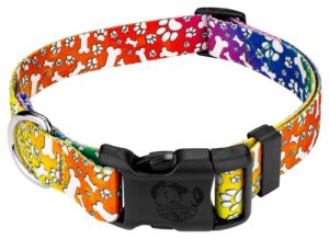 country brook petz - deluxe trippy doggo dog collar - made in the u.s.a. - groovy collection featuring far out designs (1 inch, large)