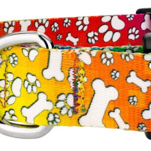 Country Brook Petz - Deluxe Trippy Doggo Dog Collar - Made in The U.S.A. - Groovy Collection featuring Far Out Designs (1 Inch, Large)