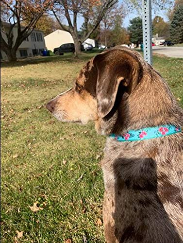 YUDOTE Floral Dog Collars Adjustable Nylon Collar with Quick Release Buckle for Female & Male Dogs, Green,Large