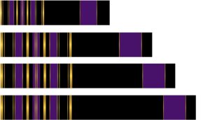 white water archery laminated black background purple stripe traditional 17 crest arrow wraps 15 pk choose length width (8, 1.25)