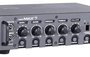 Peavey MiniMAX 600-Watt Mini Bass Amp Head