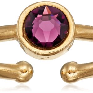 Alex and Ani Women's Swarovski Color Code Adjustable Ring February Amethyst Color, 14kt Gold Plated