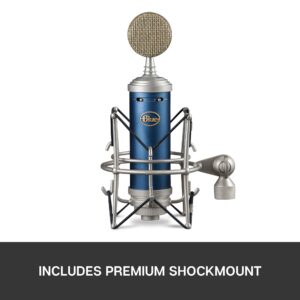 Blue Microphones Bluebird SL Large-Diaphragm Condenser Microphone (Renewed)