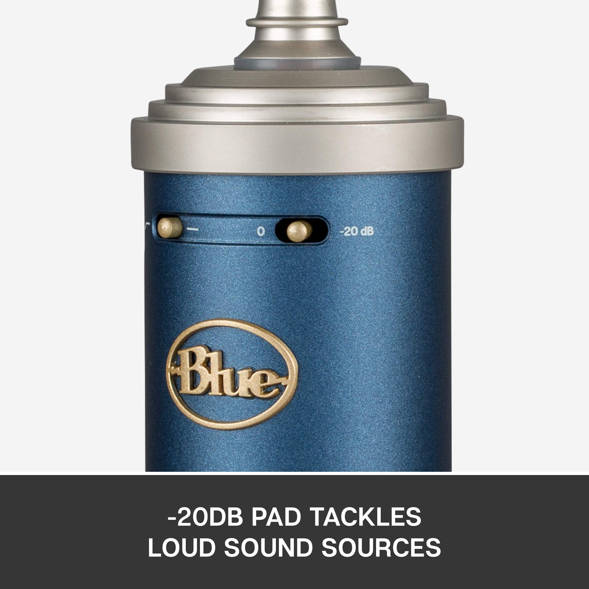 Blue Microphones Bluebird SL Large-Diaphragm Condenser Microphone (Renewed)