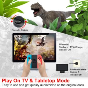 Switch HDMI Dock, TV Dock for Switch and Switch OLED, Compact Switch to HDMI Dock, Replacement Dock for Switch with USB Type C Power Input Port, HDMI Video Port and USB 3.0 Data Port