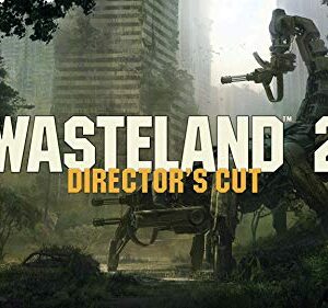 Wasteland 2: Director's Cut (Nintendo Switch)