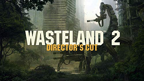 Wasteland 2: Director's Cut (Nintendo Switch)