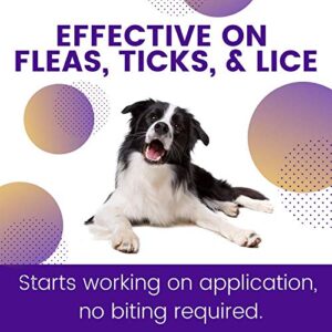 ZoGuard Plus Flea and Tick Prevention for Dogs (Medium - 23-44 lb)