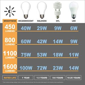 Asencia AN-03679 40 Watt Equivalent G25 Globe Frosted All Glass Vintage Filament Dimmable LED Light Bulb, Soft White, 6-Pack, 6 Pack