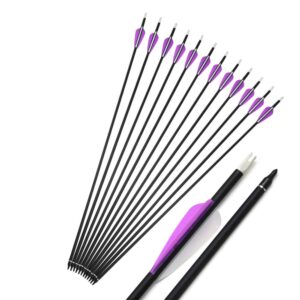 12 pcs 30 inch archery carbon arrows 500 spine hunting practice target carbon arrows shaft with 100 grain replaceable tips for archery compound & recurve & traditional bow (purple arrow)