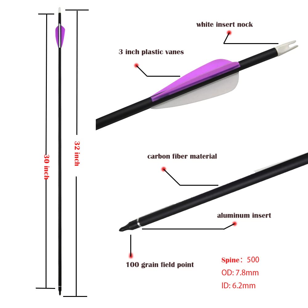 12 Pcs 30 Inch Archery Carbon Arrows 500 Spine Hunting Practice Target Carbon Arrows Shaft with 100 Grain Replaceable Tips for Archery Compound & Recurve & Traditional Bow (Purple Arrow)