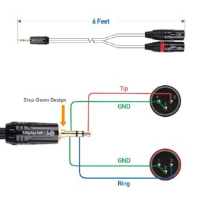 Cable Matters 3.5mm 1/8 Inch TRS to 2 XLR Cable 10 ft, Male to Male Aux to Dual XLR Breakout Cable