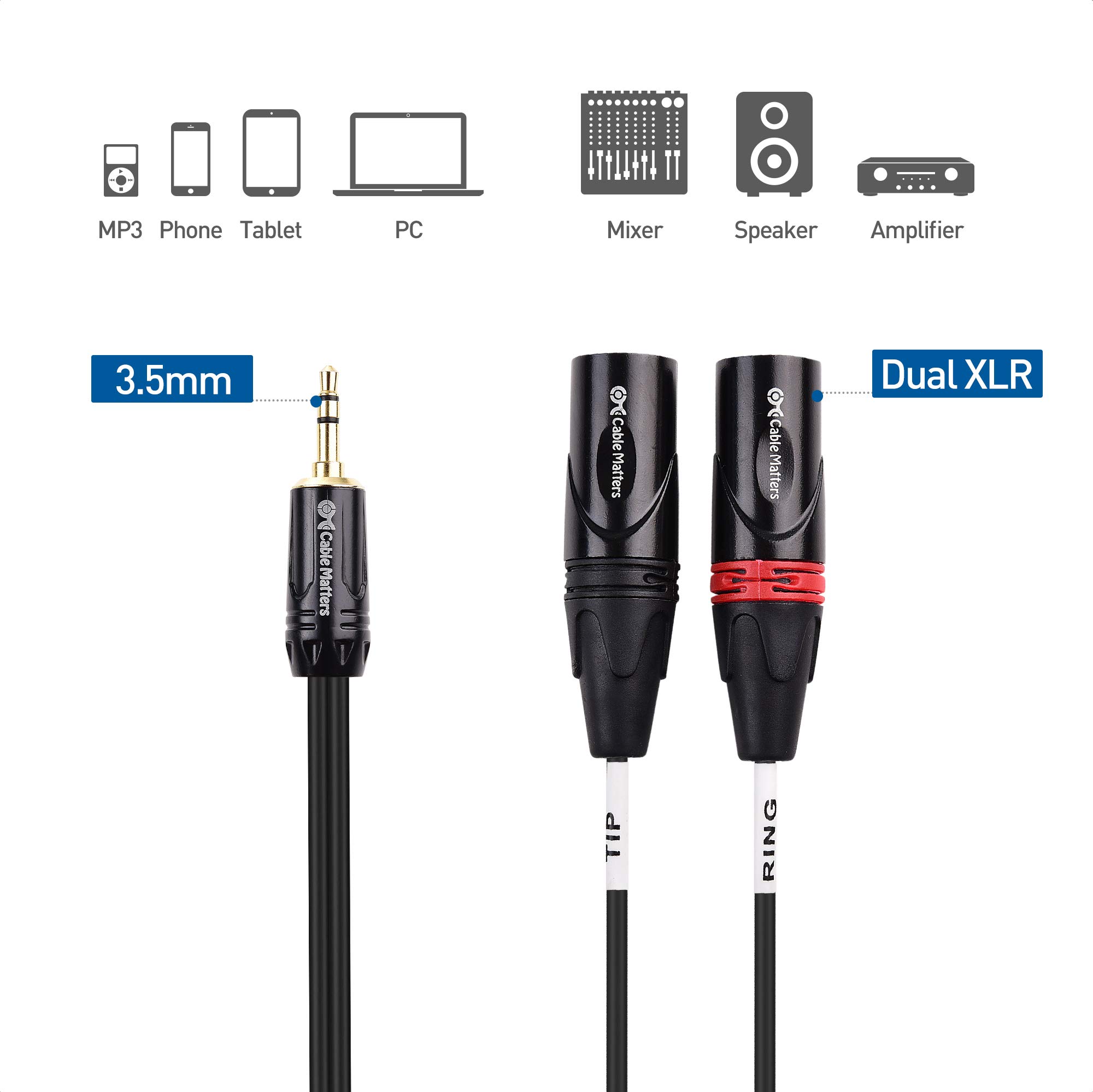 Cable Matters 3.5mm 1/8 Inch TRS to 2 XLR Cable 10 ft, Male to Male Aux to Dual XLR Breakout Cable