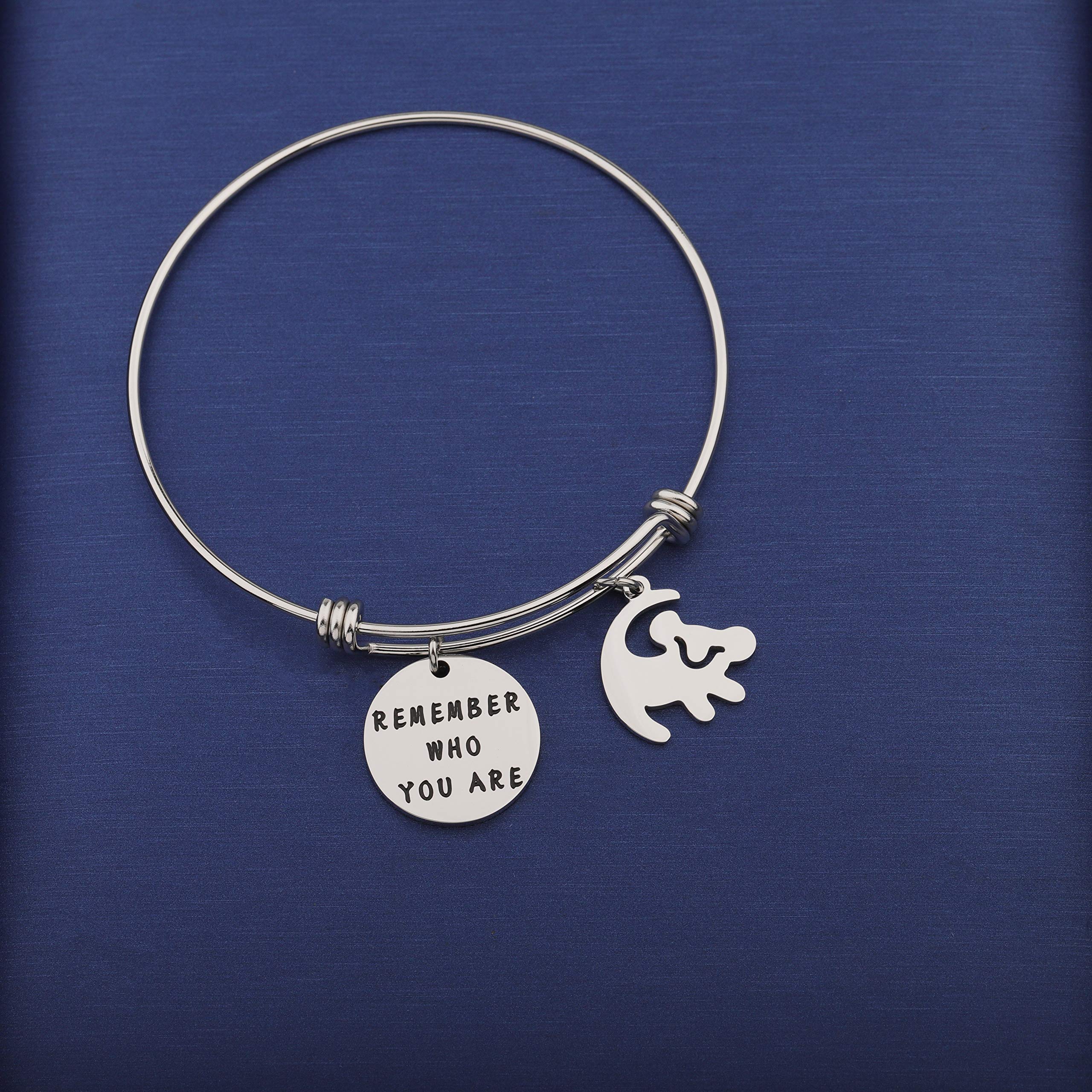 TGBJE Remember Who You Are Bracelet Inspired Bangle Lion King Gift for Friend (Lion King bangle)