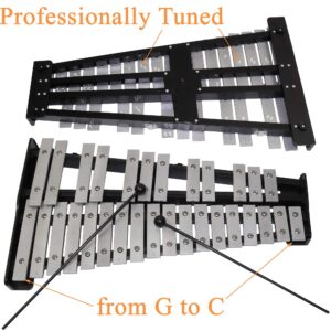 30 Keys Professional Glockenspiel - Metal Bell Kit Xylophone with Stand, Note Holder, Carrying Bag, and 2 Mallets