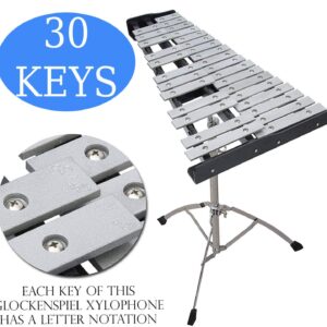 30 Keys Professional Glockenspiel - Metal Bell Kit Xylophone with Stand, Note Holder, Carrying Bag, and 2 Mallets