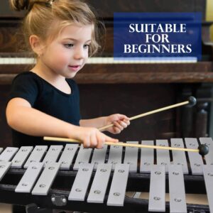 30 Keys Professional Glockenspiel - Metal Bell Kit Xylophone with Stand, Note Holder, Carrying Bag, and 2 Mallets