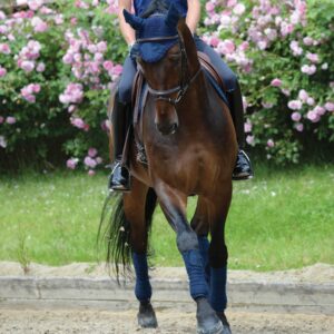 Weatherbeeta Prime Jump Shaped Saddle Pad, Grey, Full