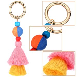 Tatuo 6 Pieces Handmade Bohemian Tassel Keychain Tassels Bag Key Chain Charm Handbags Pendant Key Chain Rings (Color Set 2)