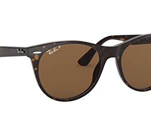 Ray-Ban RB2185 Wayfarer II Round Sunglasses, Tortoise/B-15 Brown Polarized, 52 mm