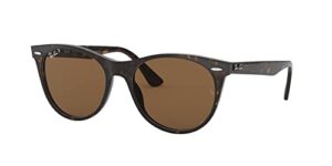 ray-ban rb2185 wayfarer ii round sunglasses, tortoise/b-15 brown polarized, 52 mm