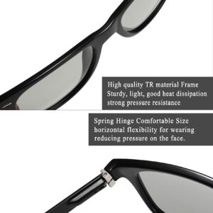 FEISEDY Vintage Polarized Photochromic Sunglasses Men Women 100% UV Protection Outdoor Square Sunglasses B1001