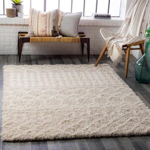 Livabliss Hapsburg Moroccan Shag Area Rug, 5'3" x 7'3", Beige