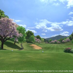 Everybody's Golf VR - PlayStation 4