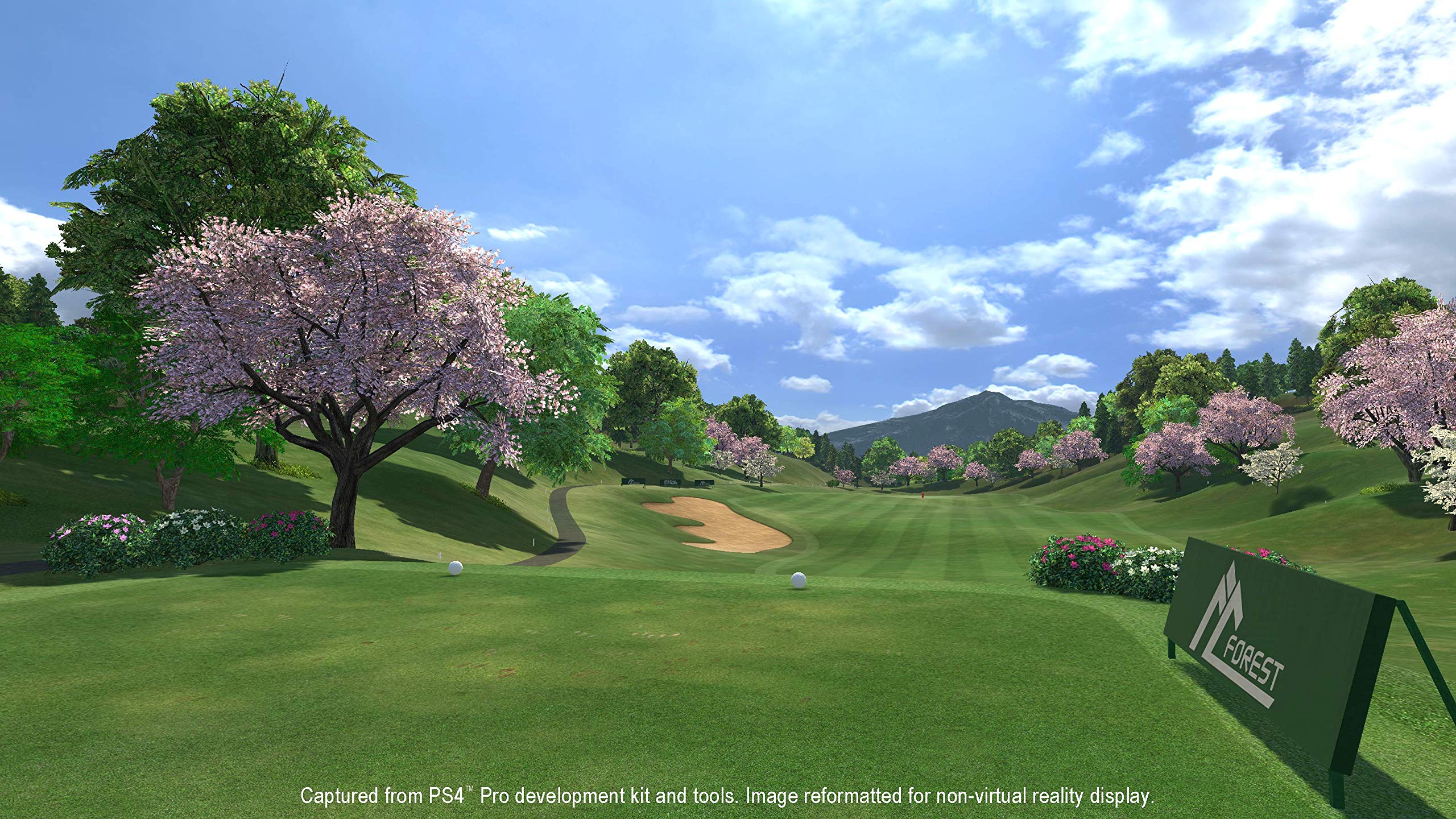 Everybody's Golf VR - PlayStation 4