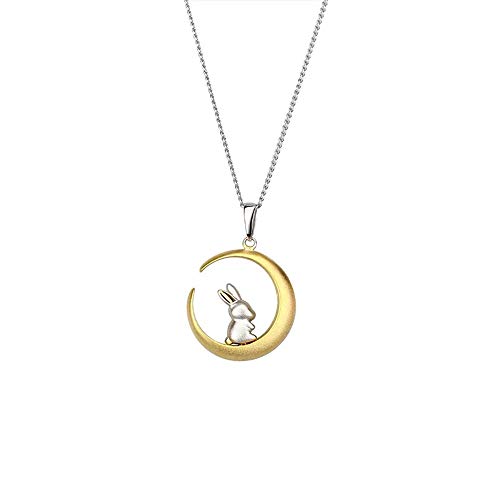 Cute Bunny Rabbit On The Moon Pendant Necklace for Women Teen Girls S925 Sterling Silver Hypoallergenic Dainty Tiny Crescent Choker 18" Chain Collar Delicate Animal Jewelry Gifts Box for Daughter