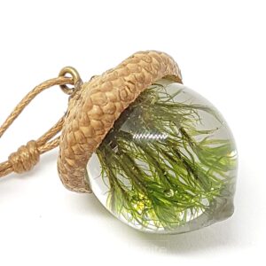 harmonite english acorn pendant necklace for women and men. handmade natural gift of moss jewelry for motherhood, maternity, or as spiritual unique gifts set in eco resin