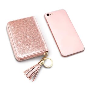 Coco Rossi Women's Small Credit Card Wallet RFID Glitter Bling Cute Accordion Card Holder with Zipper Pink