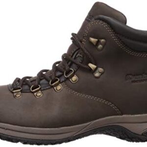 Dunham Men's Ludlow PT Boot Hiking, Brown, 8.5 Medium