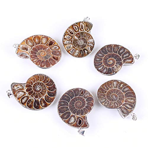 CXD-GEM Spiral Natural Ammonite Shell Fossil Pendant with Sliver Wrapped Handmade Edge for Women Jewelry Gift