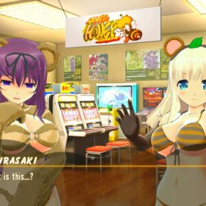 Senran Kagura Peach Ball - Nintendo Switch