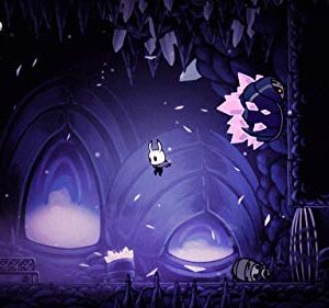 Hollow Knight (Nintendo Switch)