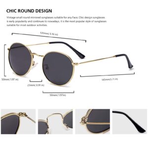 Htms Round Sunglasses for Men Vintage Retro Polarized Sun Glasses for Women Metal Frame Circle Shades