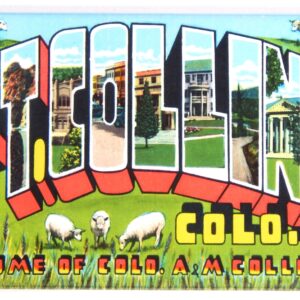 Greetings from Fort Collins Colorado Fridge Magnet (2.5 x 3.5 inches) Style B